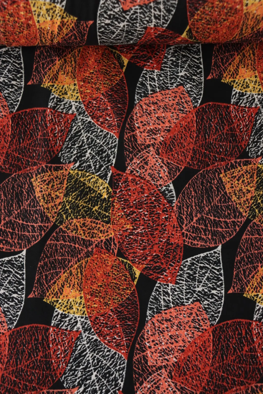 Cracked Leaves ITY